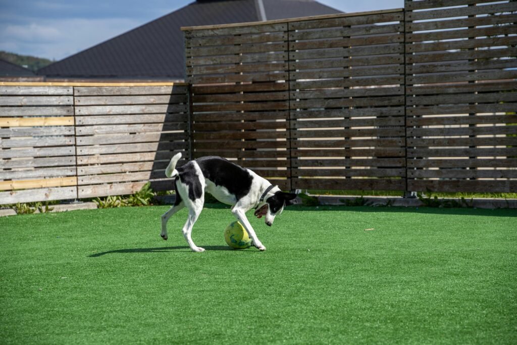 Residential Artificial Grass in Newcastle Residential Artificial Grass in Newcastle